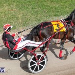 Harness Pony Racing Bermuda, January 1 2019-6598