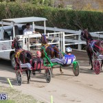 Harness Pony Racing Bermuda, January 1 2019-6599
