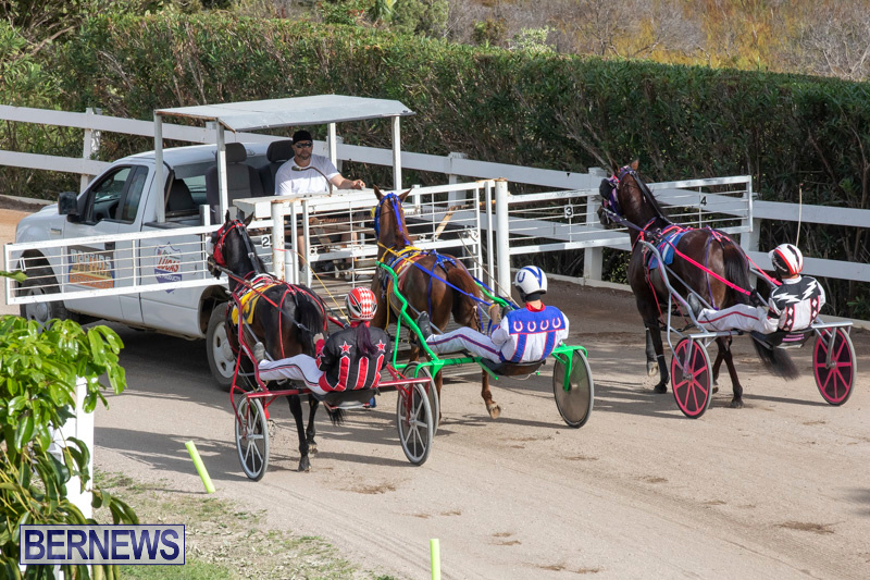 Harness-Pony-Racing-Bermuda-January-1-2019-6599