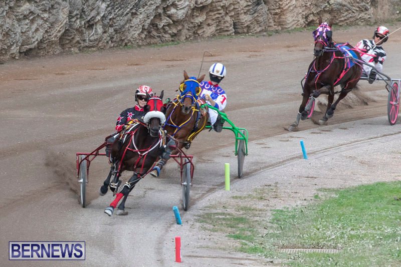 Harness-Pony-Racing-Bermuda-January-1-2019-6603