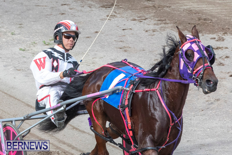 Harness-Pony-Racing-Bermuda-January-1-2019-6610
