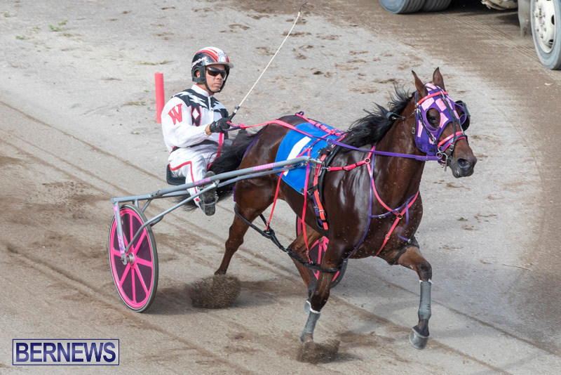 Harness-Pony-Racing-Bermuda-January-1-2019-6611
