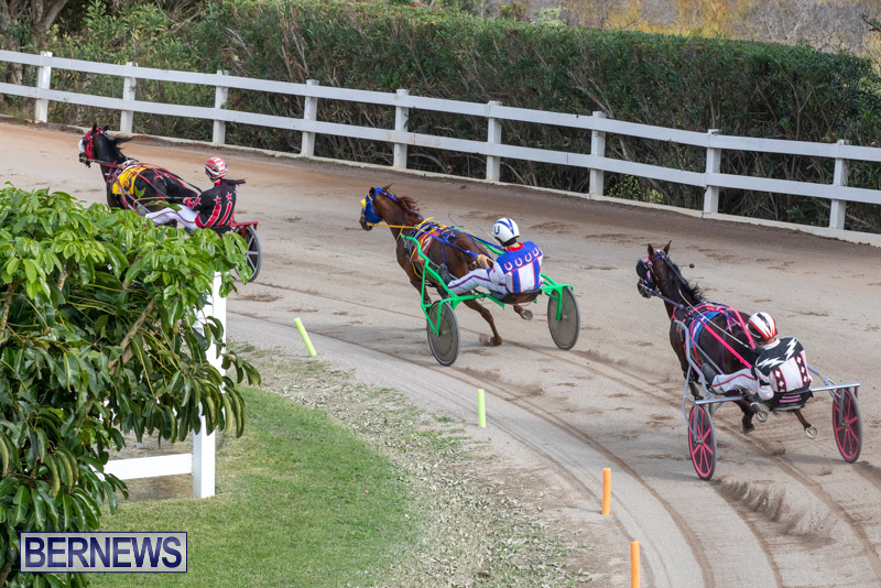 Harness-Pony-Racing-Bermuda-January-1-2019-6613