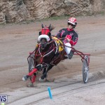 Harness Pony Racing Bermuda, January 1 2019-6615