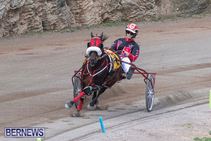 Harness-Pony-Racing-Bermuda-January-1-2019-6615