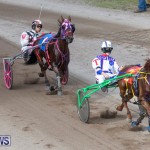 Harness Pony Racing Bermuda, January 1 2019-6623