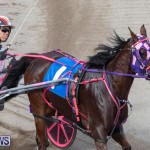 Harness Pony Racing Bermuda, January 1 2019-6626
