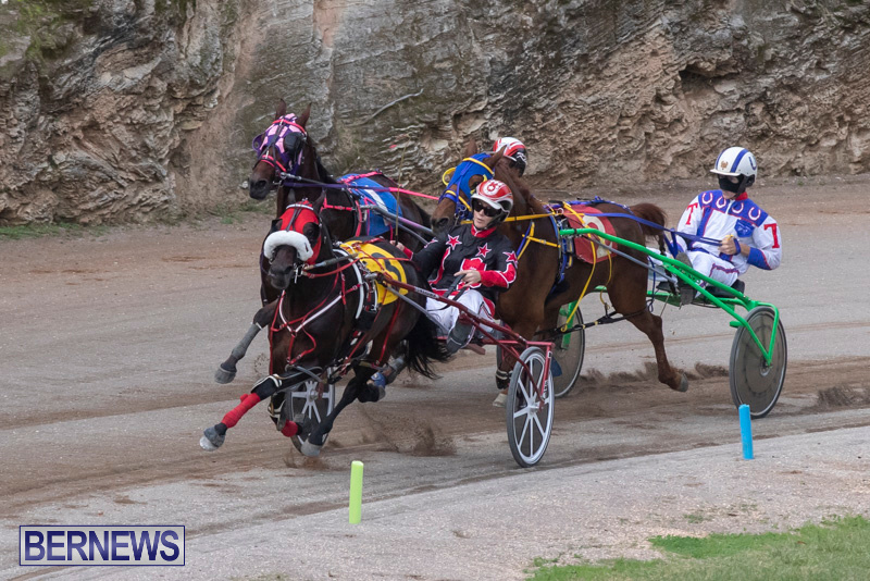 Harness-Pony-Racing-Bermuda-January-1-2019-6629