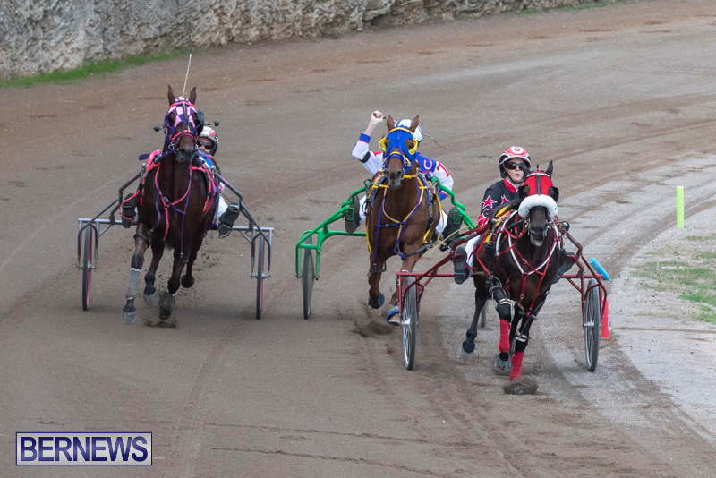 Harness-Pony-Racing-Bermuda-January-1-2019-6634