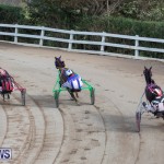Harness Pony Racing Bermuda, January 1 2019-6647