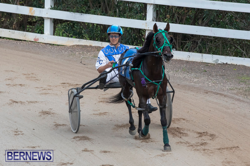 Harness-Pony-Racing-Bermuda-January-1-2019-6650