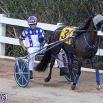 Harness Pony Racing Bermuda, January 1 2019-6652