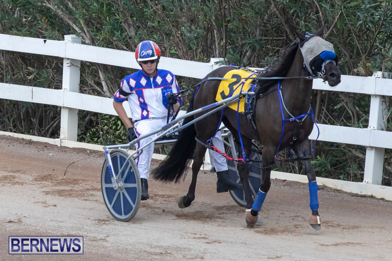 Harness-Pony-Racing-Bermuda-January-1-2019-6652