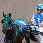 Harness Pony Racing Bermuda, January 1 2019-6655