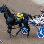Harness Pony Racing Bermuda, January 1 2019-6662
