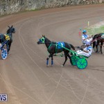 Harness Pony Racing Bermuda, January 1 2019-6664