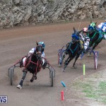 Harness Pony Racing Bermuda, January 1 2019-6694