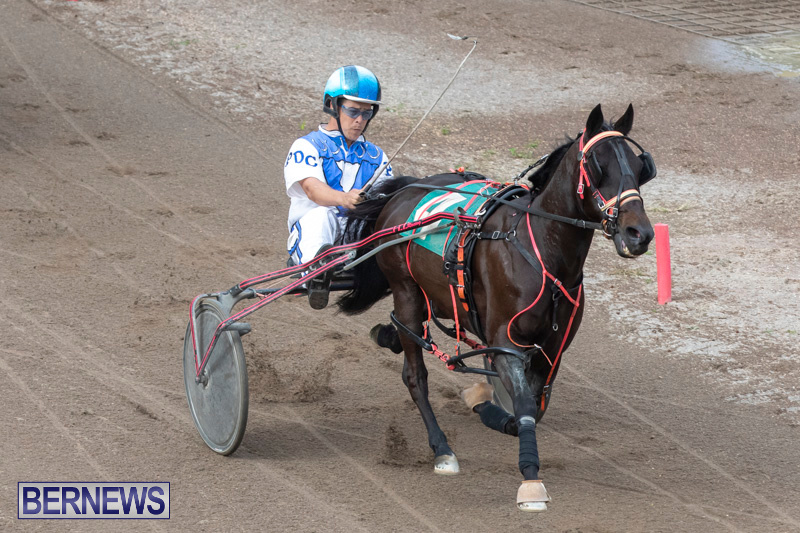 Harness-Pony-Racing-Bermuda-January-1-2019-6700