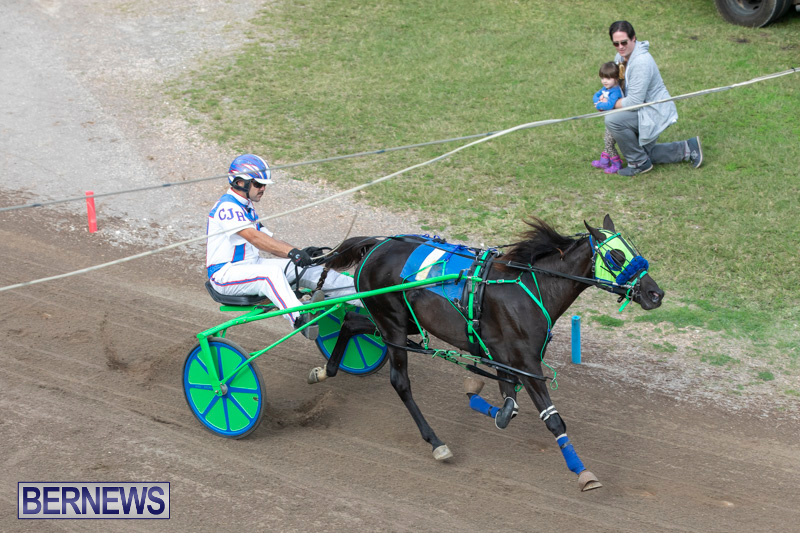 Harness-Pony-Racing-Bermuda-January-1-2019-6708