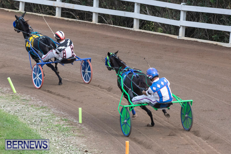 Harness-Pony-Racing-Bermuda-January-1-2019-6711