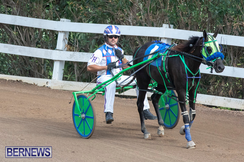 Harness-Pony-Racing-Bermuda-January-1-2019-6773
