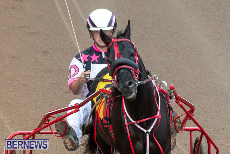 Harness-Pony-Racing-Bermuda-January-1-2019-6793