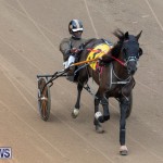 Harness Pony Racing Bermuda, January 1 2019-6805