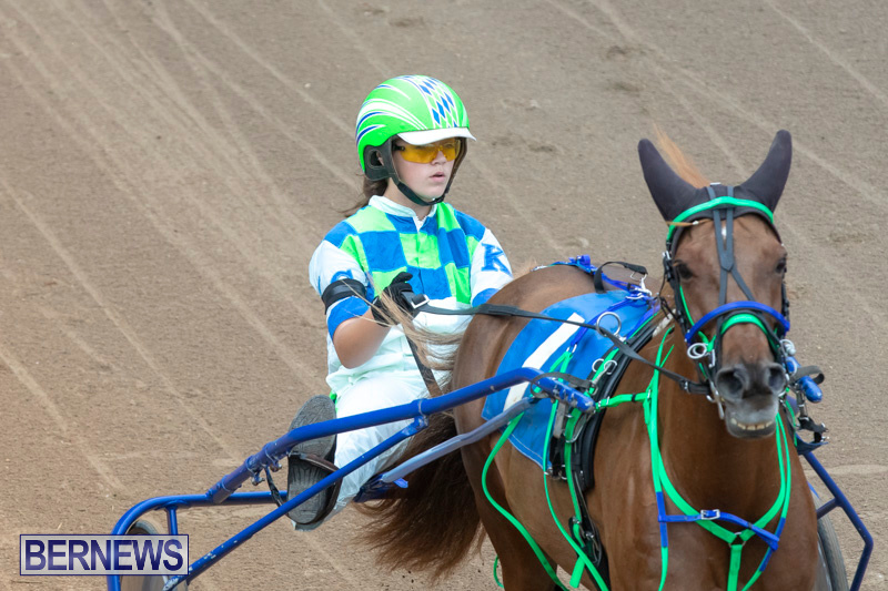 Harness-Pony-Racing-Bermuda-January-1-2019-6825