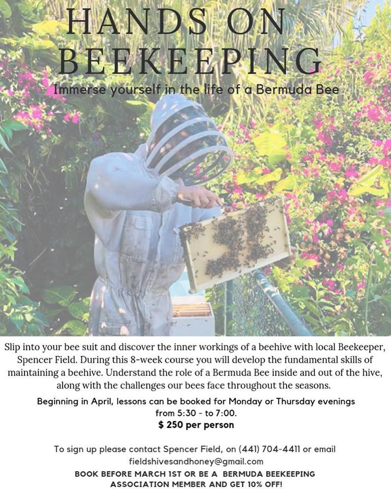 Hand on Beekeeping Bermuda April 2019