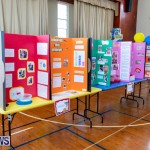 Purvis Primary Science Fair Bermuda, February 21 2019-9261
