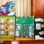 Purvis Primary Science Fair Bermuda, February 21 2019-9267