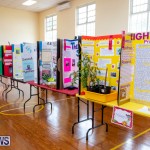 Purvis Primary Science Fair Bermuda, February 21 2019-9269