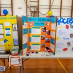 Purvis Primary Science Fair Bermuda, February 21 2019-9272