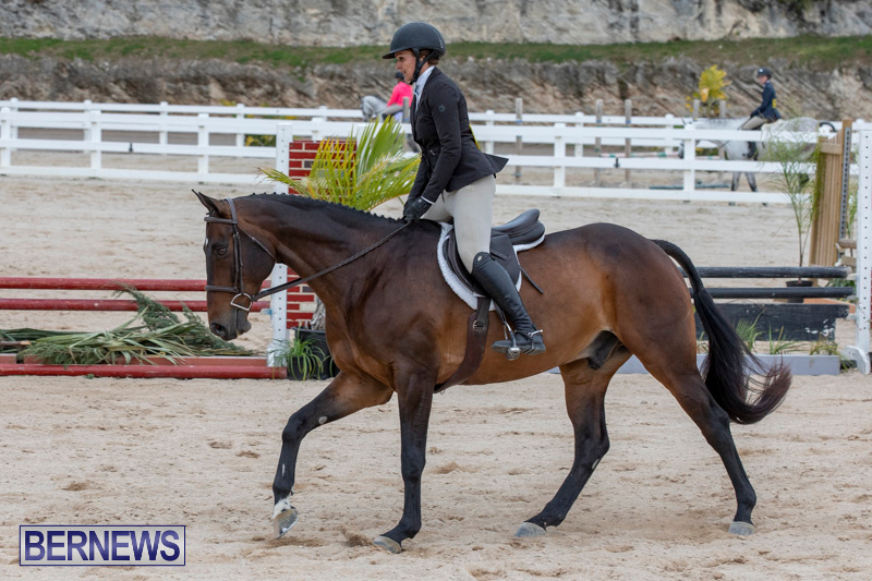 BHPA-Bermuda-Horse-Pony-Association-Spring-Show-March-24-2019-6111