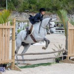 BHPA Bermuda Horse Pony Association Spring Show, March 24 2019-6135