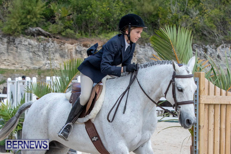 BHPA-Bermuda-Horse-Pony-Association-Spring-Show-March-24-2019-6136