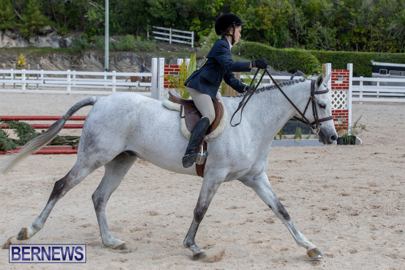 BHPA-Bermuda-Horse-Pony-Association-Spring-Show-March-24-2019-6140