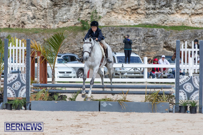 BHPA-Bermuda-Horse-Pony-Association-Spring-Show-March-24-2019-6150