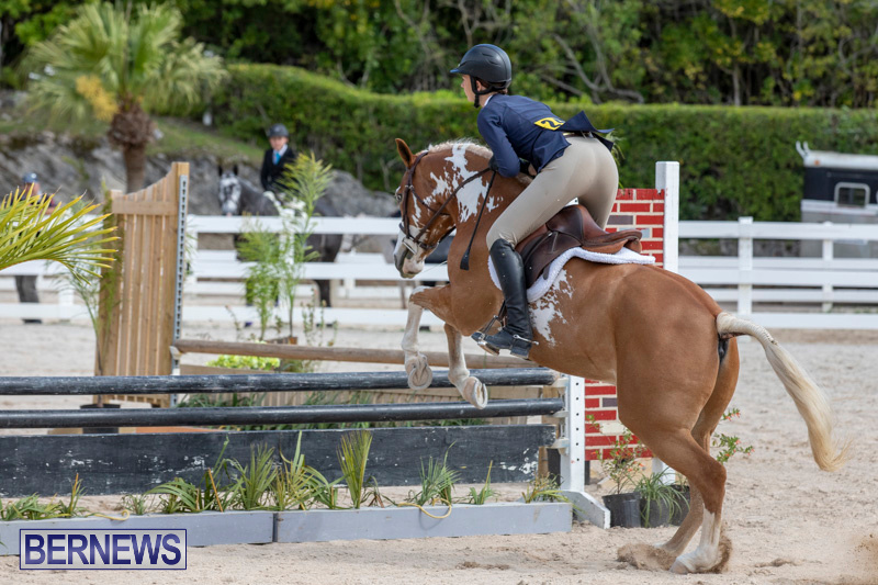 BHPA-Bermuda-Horse-Pony-Association-Spring-Show-March-24-2019-6175