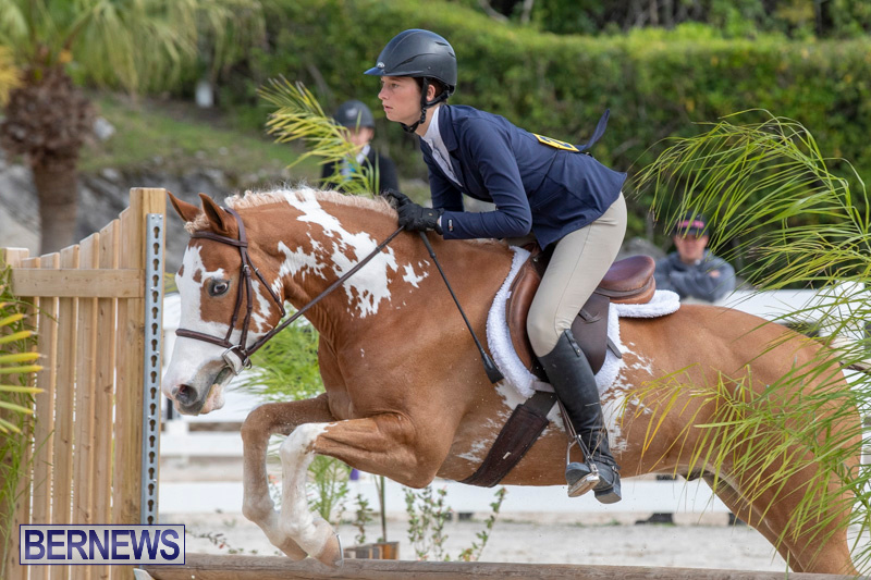 BHPA-Bermuda-Horse-Pony-Association-Spring-Show-March-24-2019-6187