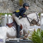 BHPA Bermuda Horse Pony Association Spring Show, March 24 2019-6203