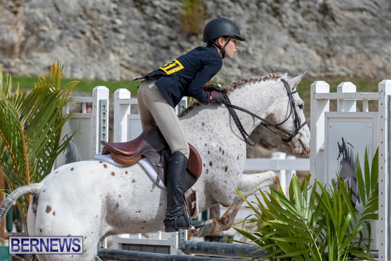 BHPA-Bermuda-Horse-Pony-Association-Spring-Show-March-24-2019-6203