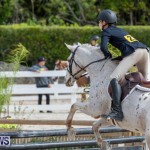 BHPA Bermuda Horse Pony Association Spring Show, March 24 2019-6212
