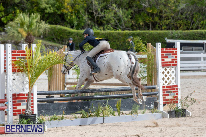 BHPA-Bermuda-Horse-Pony-Association-Spring-Show-March-24-2019-6213