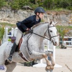 BHPA Bermuda Horse Pony Association Spring Show, March 24 2019-6216