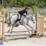 BHPA Bermuda Horse Pony Association Spring Show, March 24 2019-6217
