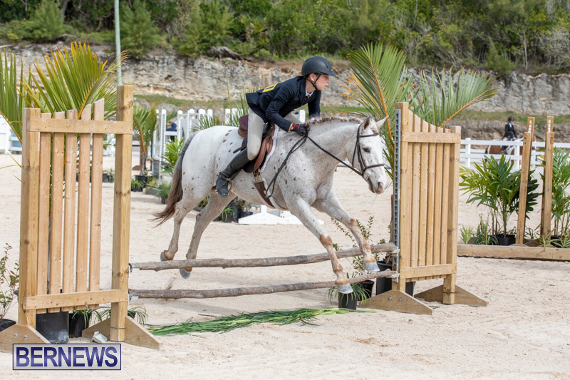 BHPA-Bermuda-Horse-Pony-Association-Spring-Show-March-24-2019-6217