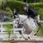 BHPA Bermuda Horse Pony Association Spring Show, March 24 2019-6223