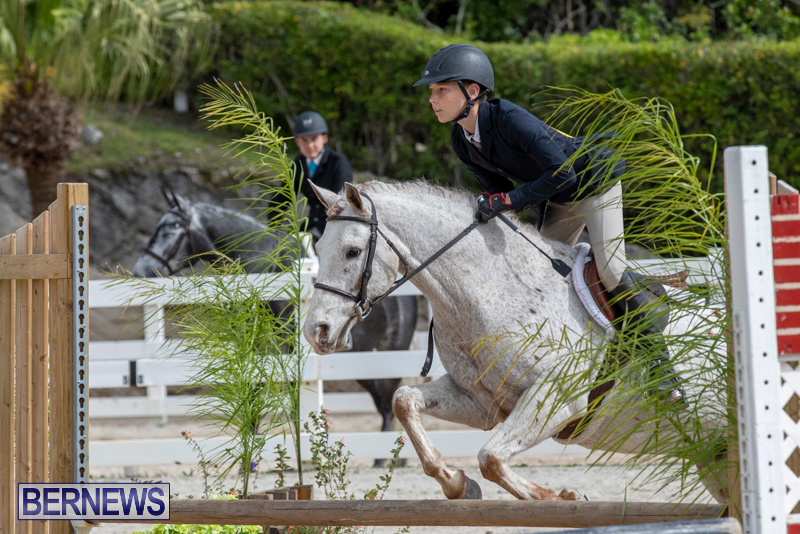 BHPA-Bermuda-Horse-Pony-Association-Spring-Show-March-24-2019-6223