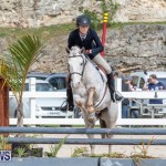 BHPA Bermuda Horse Pony Association Spring Show, March 24 2019-6230